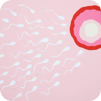 7 Answers To The Most Frequently Asked Questions About Fertility Test For Men